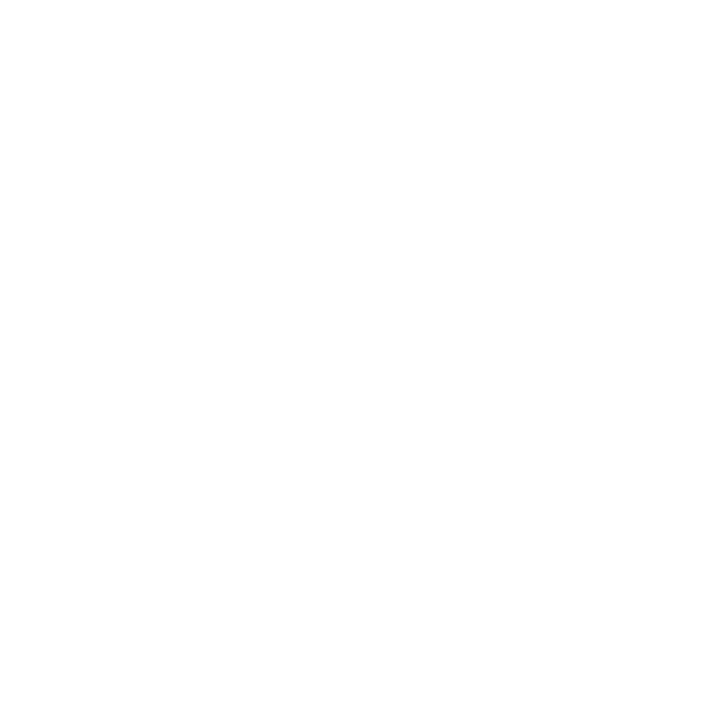 ROC Flower City
